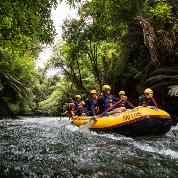 Jungle rafting in New Zealand