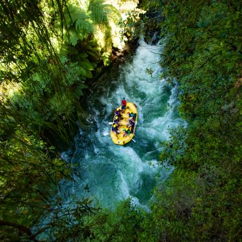Rafting in New Zealand Bush