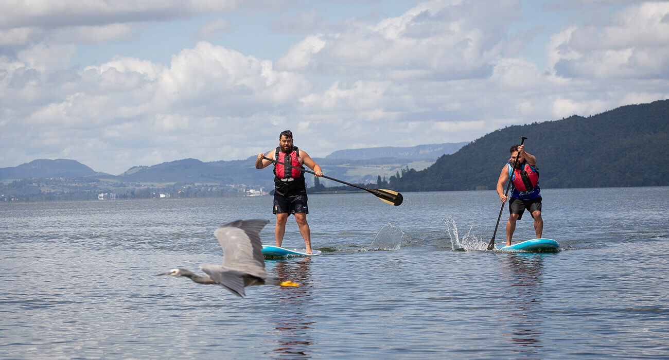 Herring stand up paddle boarding in Rotorua