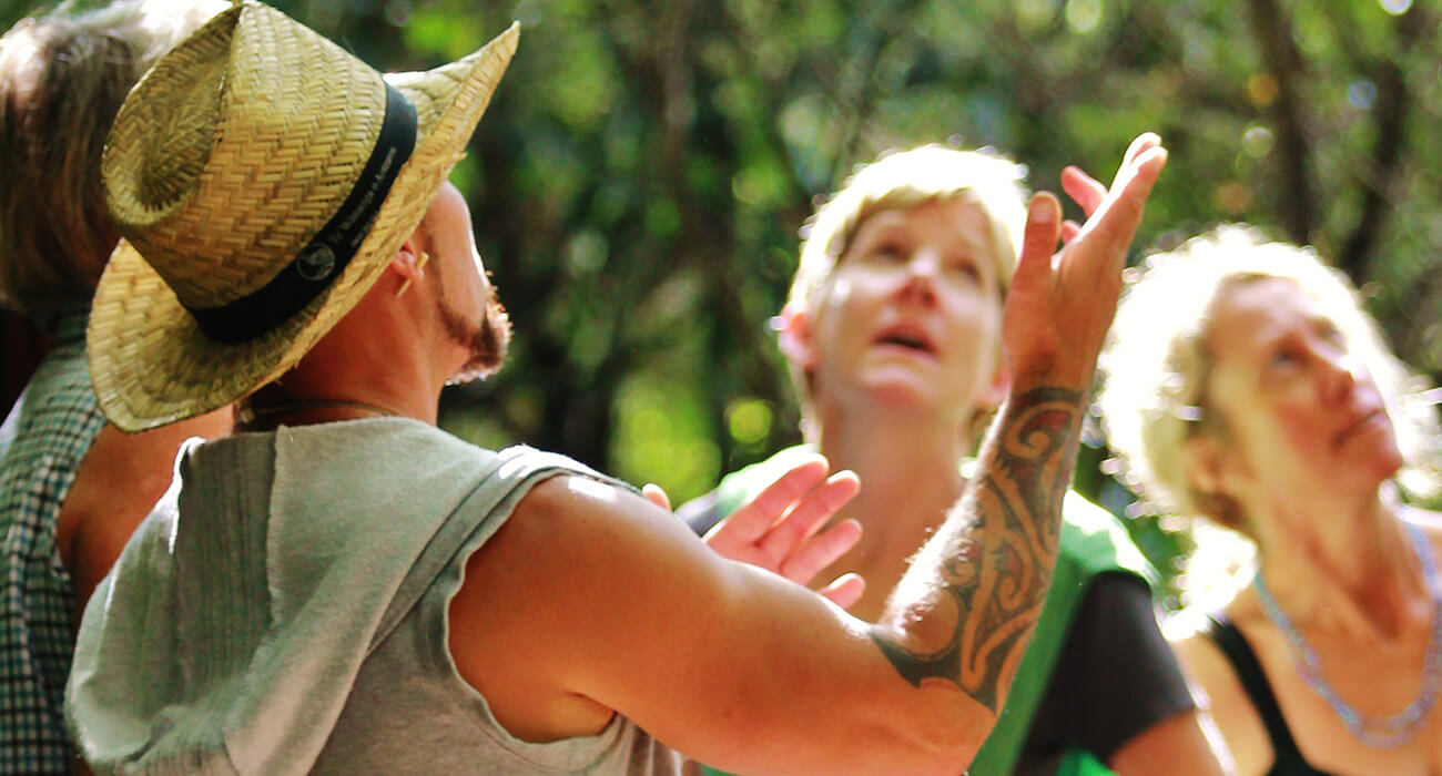 Maori Guide in New Zealand