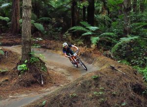 Rotorua mountain biking
