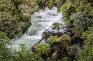 Okere Falls - Rotorua - Waterfalls