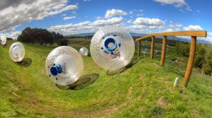 ZORB Rotorua Ball rolling fun for the whole group